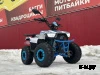 Квадроцикл PROMAX МАЙНКРАФТ KIDS 125