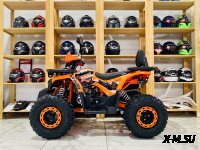 Квадроцикл FXMOTO HORNET 125